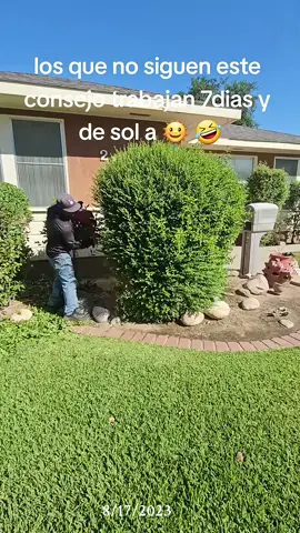 #Recuerdos #jardineriaencasa #viralvideo #yarderos #jardineros 