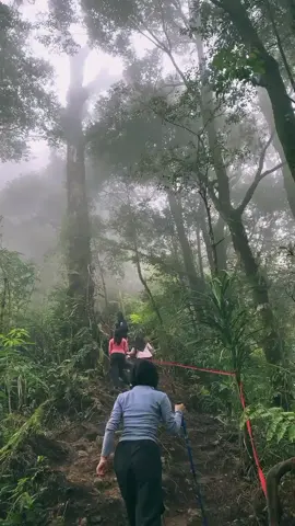 #pendakigunung #fy #puncaklumut #fypage 