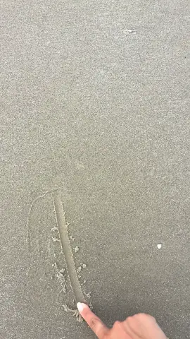 Your Monday PSA, to always wear sunscreen! All the cool girls are 😌🧴 #spf #sunscreen #mineralsunscreen #mineralspf #simpleskincare 