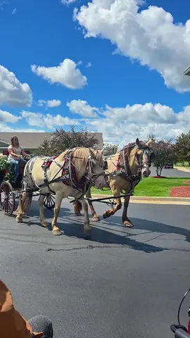 Horse Carriage rides with our residents  #horses #horseride #carriage #nursinghome #cna 