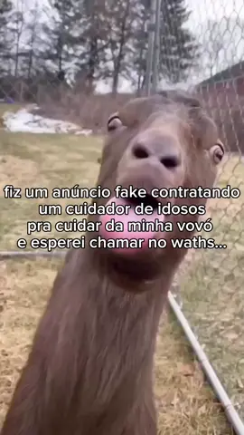 sugestões pra vídeos? #memesbr #humor #trollagem #trote #humortiktok 