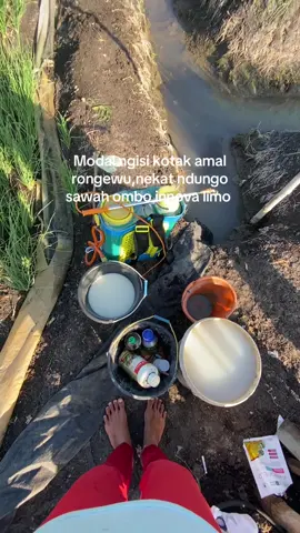 🙇🏻‍♂️#fyp #bawangmerah #petanimuda #petaniindonesia🇮🇩🇮🇩🇮🇩🌿🌿 