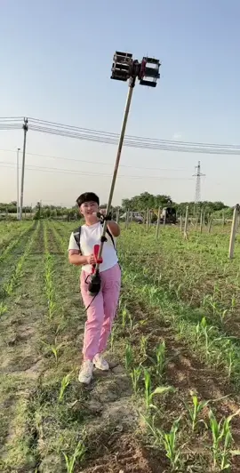 mini tiller cakar baja alat penggembur tanah#minitiller #cakarbaja #penggemburtanah #alatpertanian #fyp 