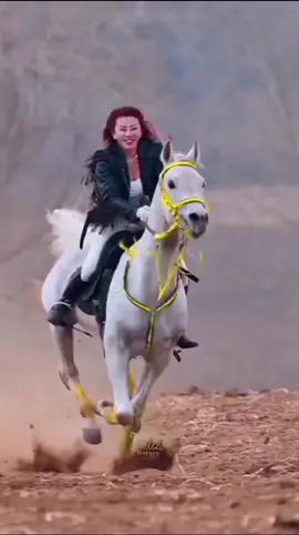 #horselover #horsegirl #horseriding 