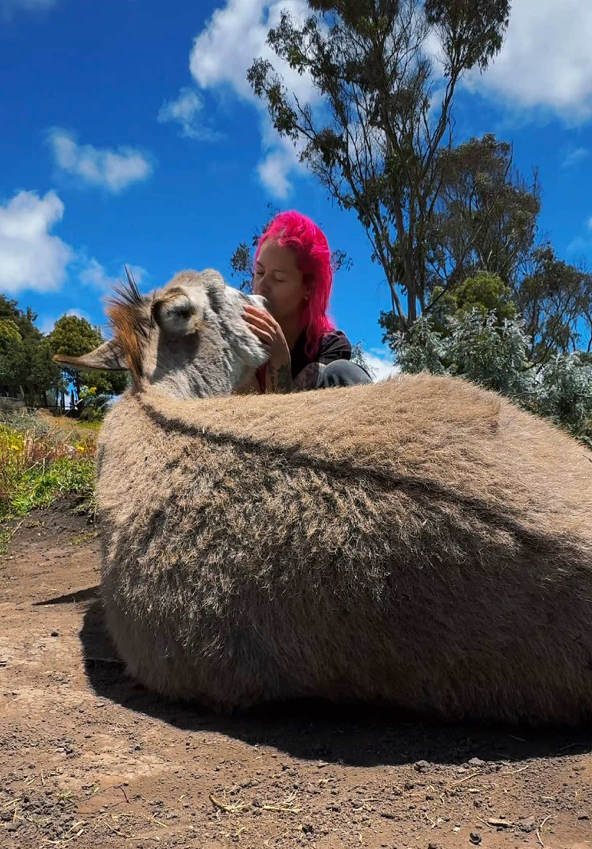 Tu granjera de confianza en APUROS 😡