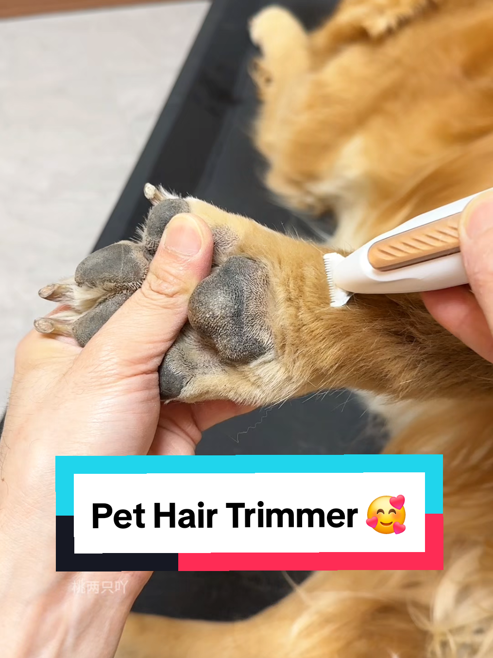 Pet Hair Trimmer 🥰 #dogshop #petproducts #pethair #pethairremoval #doghair #shedding #pethairremover #dog #petshop 