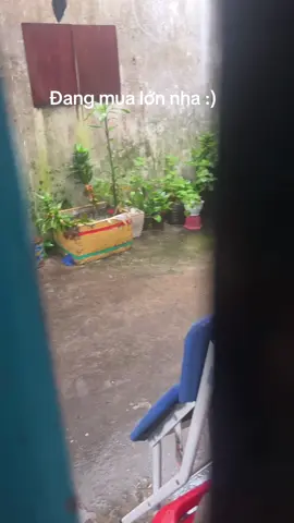 Alo mua qua nghĩ hôm nay nha sếp ^^ 