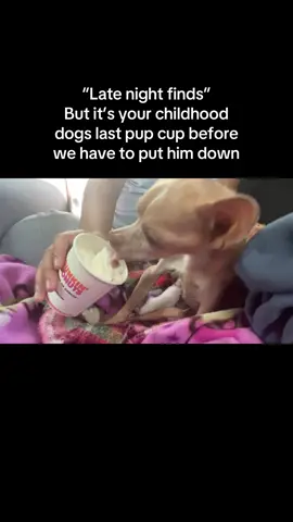 My sweet brownie🌈 I hope you have an endless supply of pup cups in doggie Heaven. You will always be missed🩵 #fyp #petloss #valentina #whoiscuttingonions 