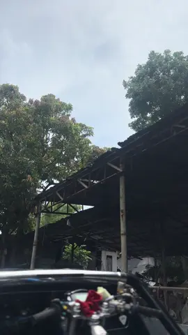 #makeitviral #fyppppppppppppppppppppppp #thaiconcept #raiderfi #thaizonephilippines 