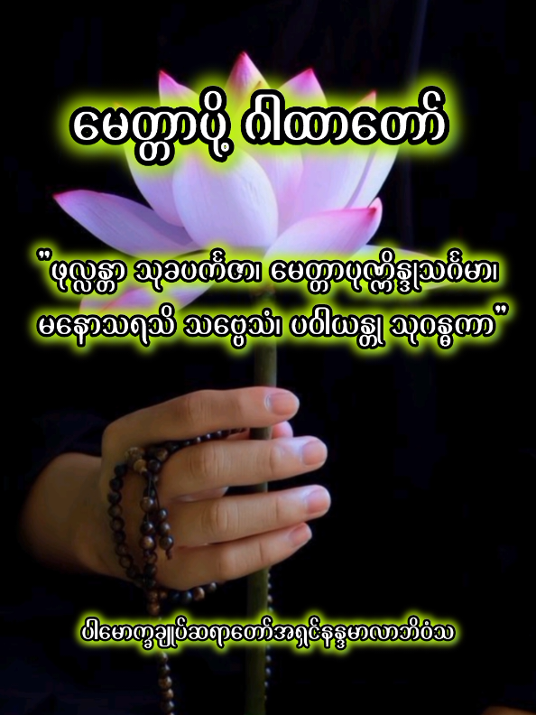 ပါမောက္ခချုပ်ဆရာတော်ဘုရားကြီး ၏ မေတ္တာပို့ ဂါထာတော် #ပါချုပ်ဆရာတော်ကြီးတရားတော်များ  #ပါမောက္ခချုပ်ဆရာတော်နန္ဒမာလာဘိဝံသ  #တရားတော်များ  #ဓမ္မဒါန  #ဓမ္မမှတ်စု 