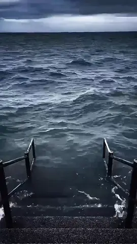 #memes #xuhuong #funny #videohaihuoc #xh 