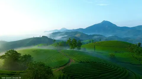 Long cốc mùa này dễ săn mây lắm các bạn… #doichelongcoc #dulichvietnam #djimini3 