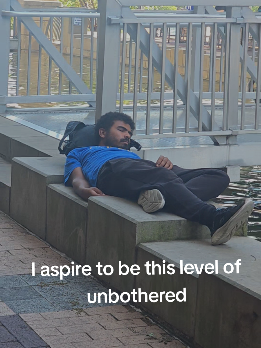 one can only wish to be this unbothered. I lowkey envy it... #pov #pittsburgh #northshore #fyp #unbothered 