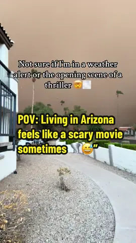 Arizona life isn’t for the weak 🌵 The monsoon rolled in and turned the sky into straight-up scary movie vibes 🌪️😳 Living through a haboob always feels surreal—beautiful, terrifying, and wild all at once.  #ArizonaLife #Haboob #MonsoonSeason #ScaryVibes #DesertLife 