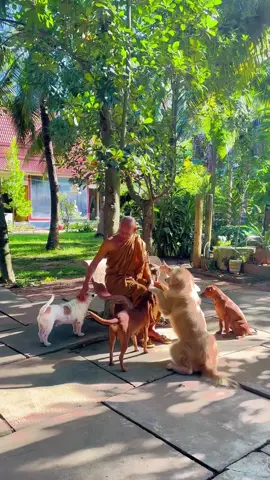 #😌សូមផ្ញើVideoនេះជូនអ្នកជិតខាង..?#សូមអនុមោទនា🙏🙏🙏💐💐💐 #