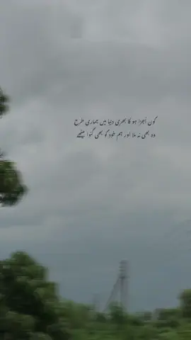 Repost request🥹 #viral #foryou #trending #poetry #trendingsound #videoviral #unfreezemyaccount #supportme #newaccount #hearttouching #shayari#deartiktokteampleasedontunderviewmyvideos#deartiktokteampleaseunfreezemyaccount#deartiktokteampleaseviralmyvideos #growmyaccount#viewsproblem#1millionviews#viralvideodream 