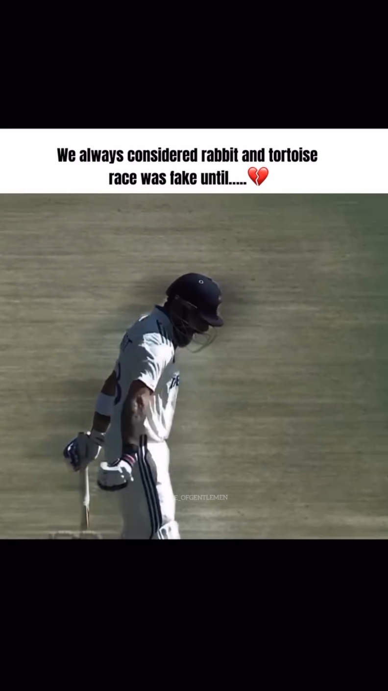 root the tortoise or Virat the rabbit #viratkohli  #viratkohlisad #joerootandviratkohli #cricket #cricketreels #ictfans #joeroot 