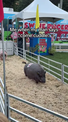 Or when he got me snacks #Relationship #pigrace #cuddle #dating #countyfair 