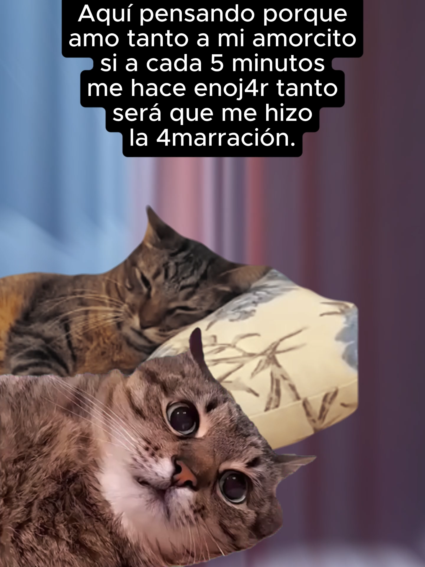 Yo sospechando que me dieron té de calzón ☕🧙‍♀️