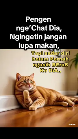 Kalau nanya sekalian ngasih 😁 #catlover #oyen #lunchtime #contentcreator #fypシ゚viral 
