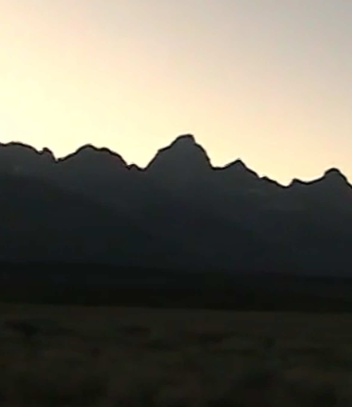 not for the algorithm. 