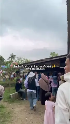 Weekend bingung mau ke mana? Yuk ajak keluarga ke Indo Natural Farm! 🌿🐇 Nikmati suasana alam yang sejuk, serunya memberi makan hewan ternak, sampai belajar memerah susu kambing, buka hanya itu saja Di sini kamu bisa: ✅ Memerah susu kambing & menyusui anak kambing 🐐 ✅ Serunya berkuda 🐴 ✅ Feeding ikan & feeding kambing 🎣🐐 ✅ Main bareng kelinci yang lucu 🐇 ✅ Santai di gazebo dengan suasana alam yang sejuk 🌿 ✅ Makan di kedai dengan menu super lengkap 🍲 ✅ Jajan di booth & market yang penuh cemilan enak 🍧🛍️ 📚 Spesial untuk anak-anak & rombongan sekolah: Ada Paket Edukasi Eksplorasi yang seru dan bermanfaat! 👉 Belajar sambil bermain 👉 Mengenal hewan ternak & cara merawatnya 👉 Pengalaman langsung yang berkesan & menambah pengetahuan Reservasi edukasi / booking Gajebo: 0857 - 2310 - 6635 Liburan jadi lebih seru, anak-anak belajar sambil bermain, orang tua bisa healing dengan suasana alam yang asri. 🌿💚 #indonaturalfarm #sukabumiexplore #susukambing #kambingperah #pertenakankambing 