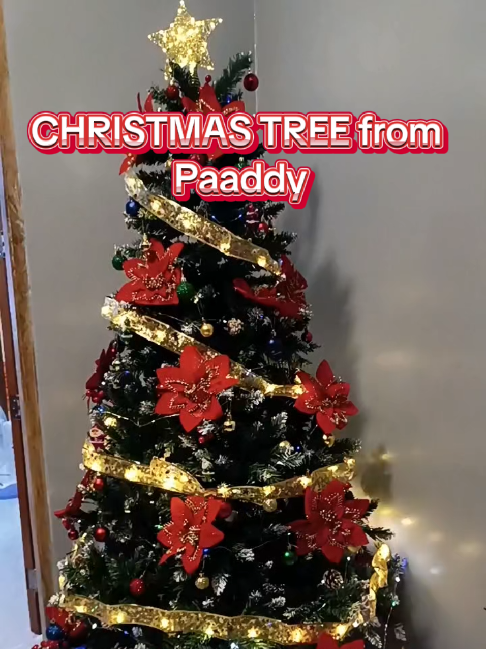 CHRISTMAS TREE #christmastree #christmasdecor #christmas #christmasdecorations  CHRISTMAS TREE christmas tree christmas tree decor CHRISTMAS TREE christmas tree christmas tree decor CHRISTMAS TREE christmas tree christmas tree decor CHRISTMAS TREE christmas tree christmas tree decor