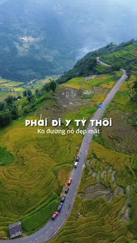 Phải đi Y Tý thôi ko đường nó đẹp mất 😂