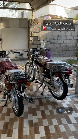 #نامات_الضياع (عينگ)