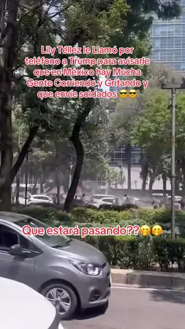 #cdmx🇲🇽 #godzillavskong #grabaciondegodzillavscong#fypシ゚viral #mexicomagico🇲🇽 