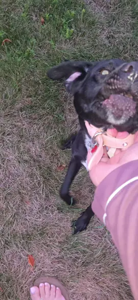 Camino coño! 😩😂#fypシ゚viral 