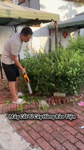 máy cắt tỉa cây tiện lợi. #maycattiacay #xuhuong #giadungtienich 