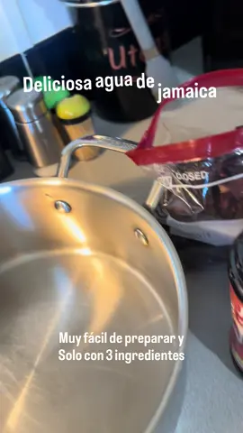#deliciosaysaludable 😋#aguadejamaica #fyp #foryou 