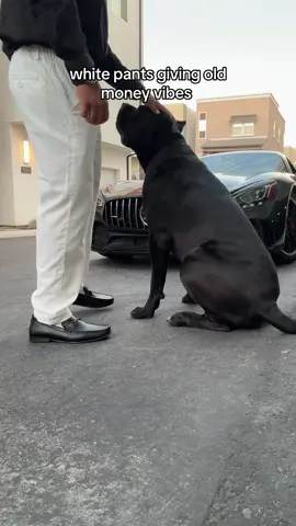 So tuff 😮‍💨 #oldmoney #pants #mensfashion #tiktokshopcreatorpicks #superbrandclub 