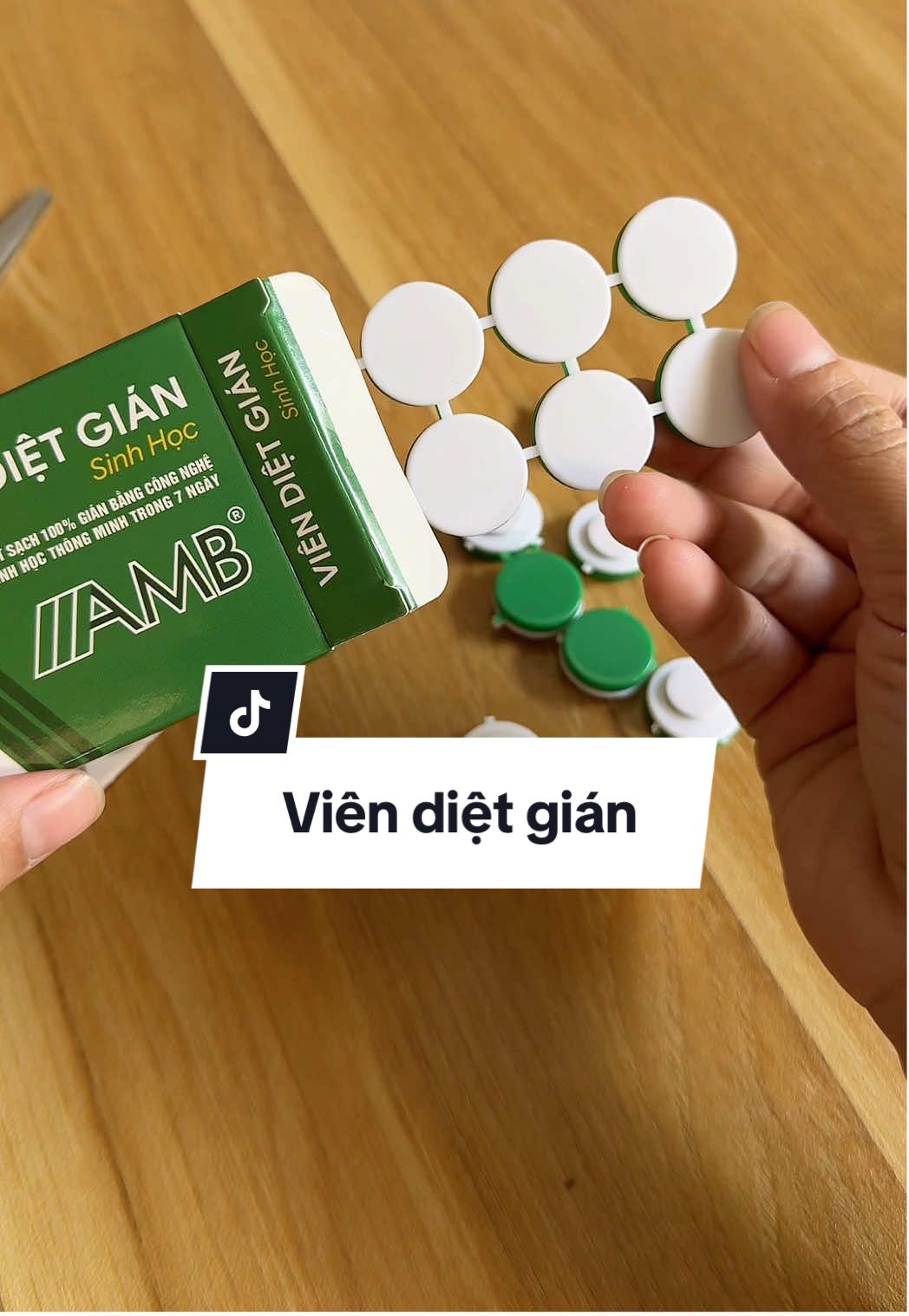 Viên diệt gián AMB #xuhuong #viendietgian #viendietgiansinhhocamb #viendietgiansinhhoc #dietgian 