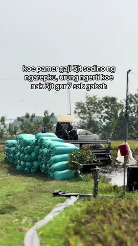 500x6500=3.250.000 😂😋  #gabahgank #combineharvester #bimo102ss #putratunggalgrup #putratunggal 