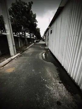 thậm chí tôi còn thương vợ tôi hết mình… #amnhac #xuhuong #capcut  quan hệ đối tác trả phí