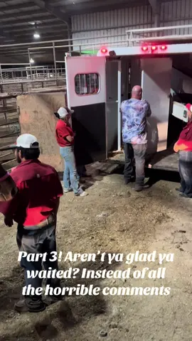 I never would’ve guessed ppl would’ve had so many negative comments. When I clearly stated this was a SERIES. Thank you to those who understood. Keyboard warriors are the worst. #fyp #horsesoftiktok #horses #ranchlife 