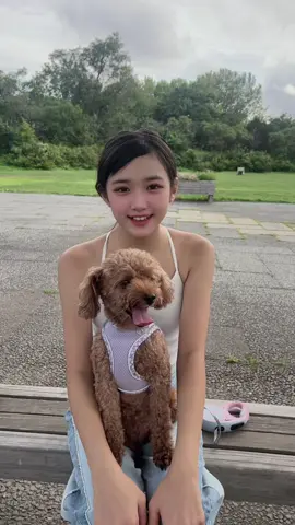 夏休みが終わった娘‪ꔛ‬♡いつでも学校は楽しいんだってʕ•̫͡•ʔ♬✧ #八木葵唯 #あおい  #トイプードル  #2学期スタート  #母投稿・母管理 