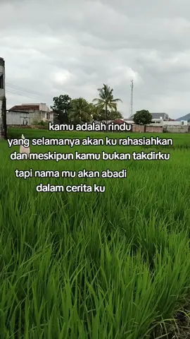 aku selalu merindukanmu wajahmu selalu terbayang #fypppppppppppppp 