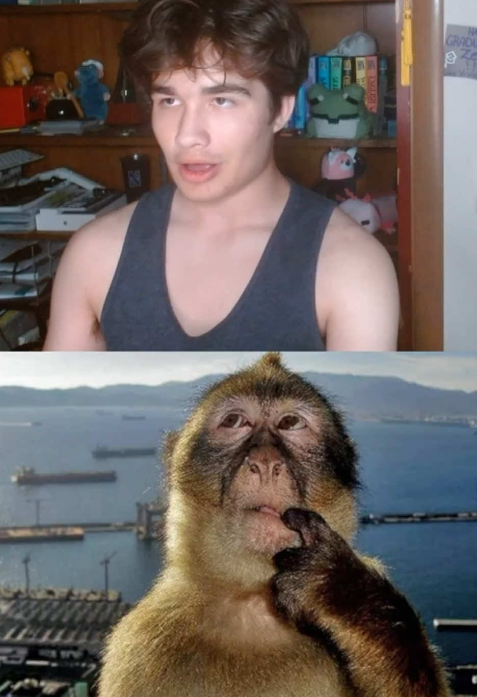 The original image was literally titled “Gibraltar Monkey” though so I didn’t have do nearly as much work as I thought I would have to. I was prepared to do monkey research and all that to find the country. #geoguessr #googlemaps @georainbolt @Ludwig 