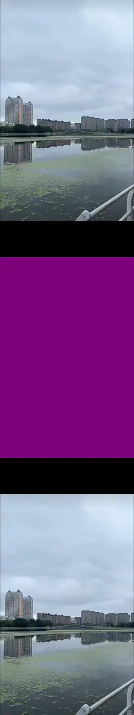 La mentira de mi CEO billionario-8_🌟 Continúa la historia aquí 👉🏻 📲 ¡Descarga la app 