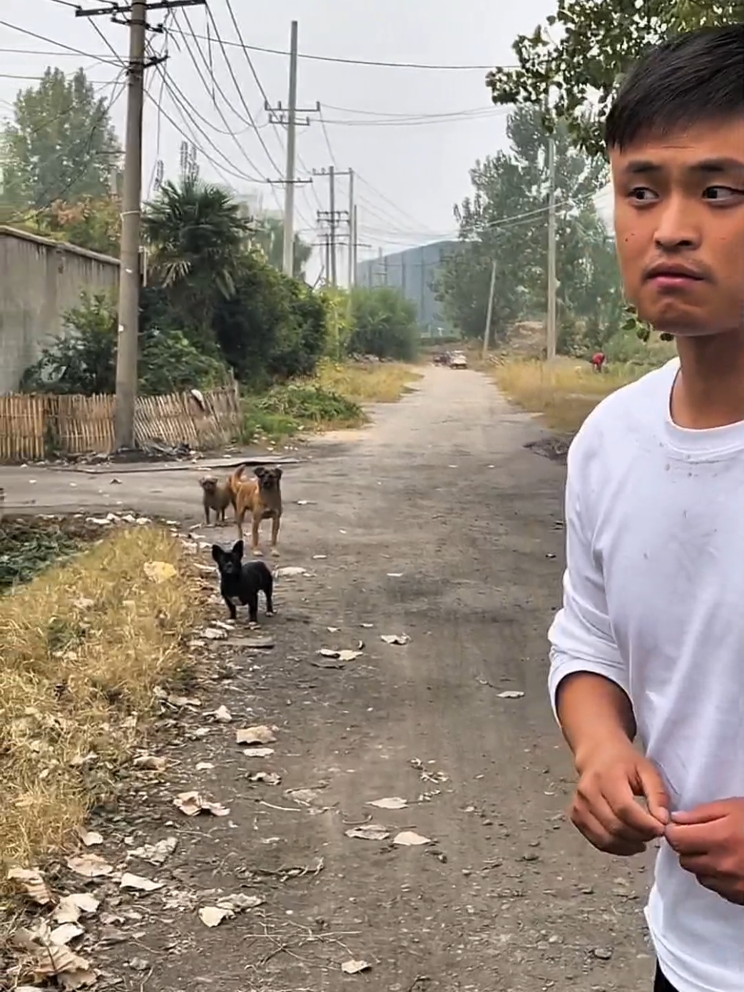 This guy is honestly super talented — he can mimic any sound. Big respect to him! #DogReaction #PrankWithDogs #dogreaction #AnimalComedy 