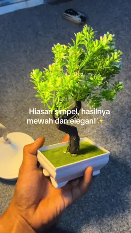 Tanaman hias yang bisa bikin ruangan aesthetic💫  #tanamanhias #dekorasirumah #hiasandinding #ruhangaesthetic #homedecor #inspirasidekorasi #fypシ #viral #rumahminimalis #aestheticroom 