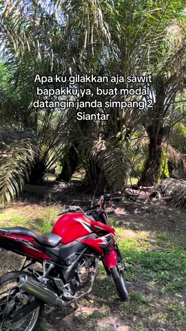 Biar makan mie gomak pajak horas😂#agenlendir #pengangguran#ninjasawit #agenlendir 