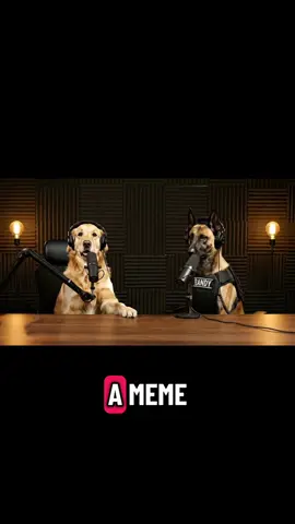 #dogs #podcast #randy #k9 #pets 