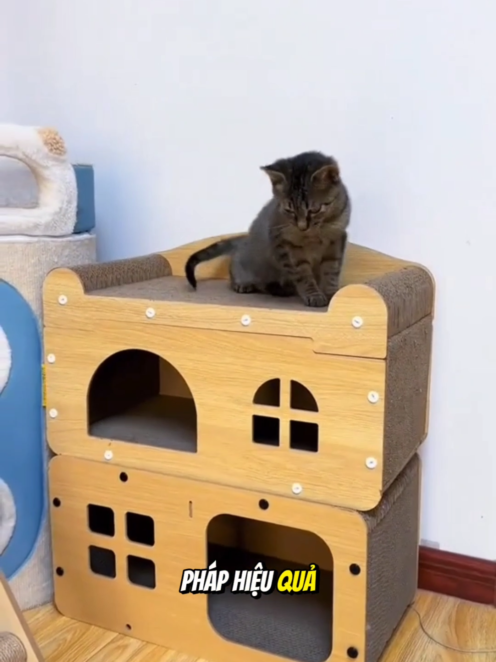 Nhà cào móng cho Mèo. #dochoichomeo #meo 