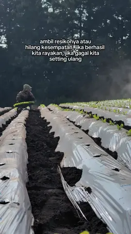 Ambil resikonya atau hilang kesempatan.,#kenshuseijapan🇮🇩🇯🇵🎌 #pertanian #basyirkempol #fypシ゚viral #fyp 