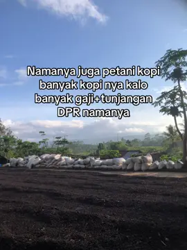 Tambahin banyak apa lagi bre😂#kopirobusta #petanimuda #petanisukses #fypシ #kopi #petanimakmur #petanimilenialindonesia #lampungbarat 