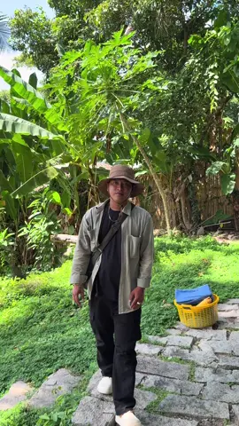 Phòng Gổ Trên Cao #raicahomestay #hònsơn #xuhuong #tiktok #reviewhonson 